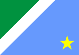 Bandeira oficial do estado de Mato Grosso do Sul