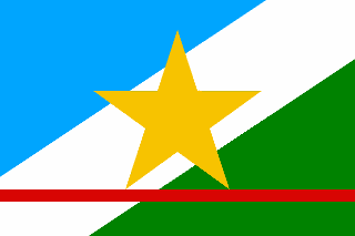 Bandeira oficial do estado de Roraima