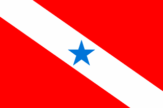 Bandeira oficial do estado de Pará