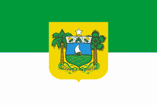 Bandeira oficial do estado de Rio Grande do Norte